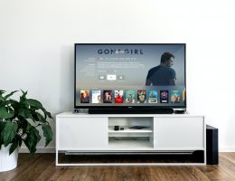 Qué canales de la televisión puedo ver online